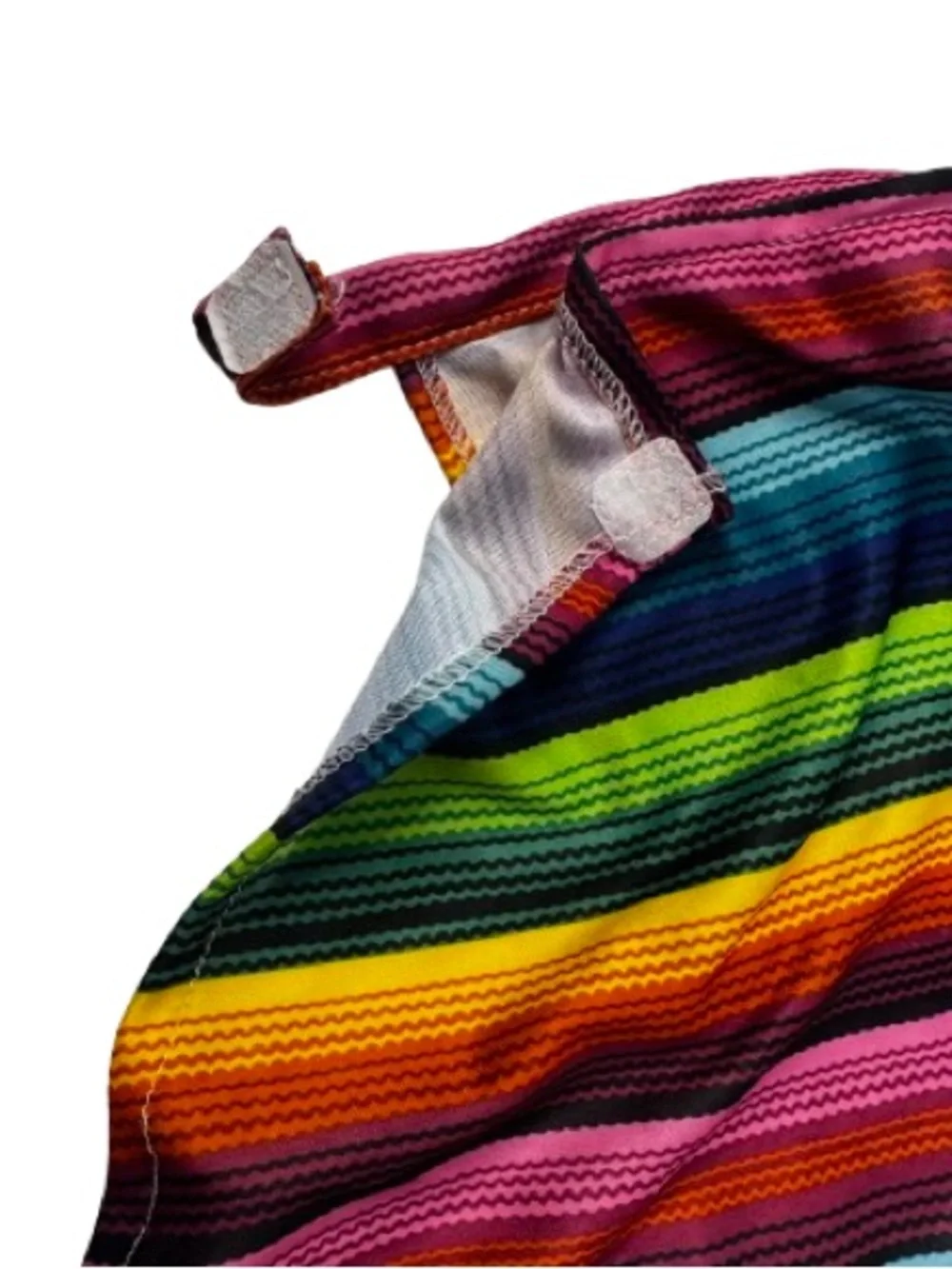Mexican Serape & Sombrero Dog Costume